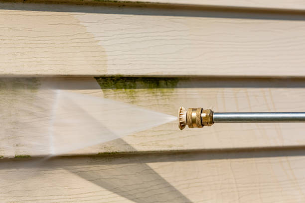 Best Fence Pressure Washing  in Two Harbors, MN